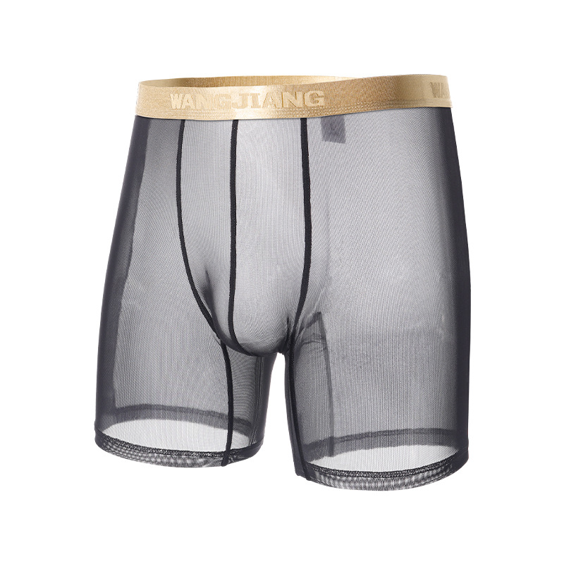 Wangjiang Men's Mesh Boxer Sho - Mesh Sport Boxer recension och pris