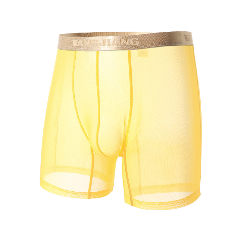 Wangjiang Men's Mesh Boxer Sho - Mesh Sport Boxer recension och pris