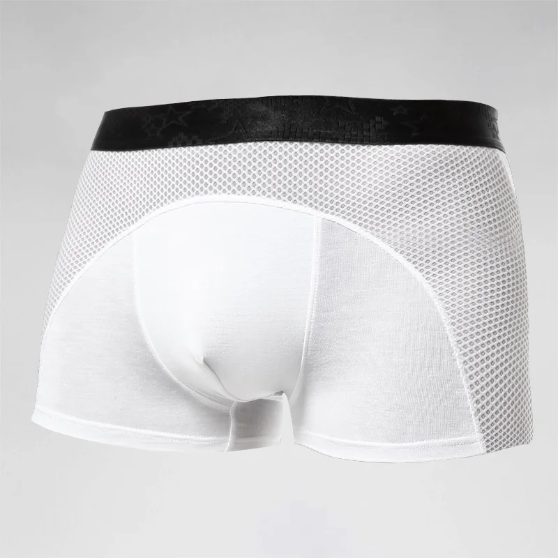 Men's underwear, men's ice sil - Mesh Sport Boxer recension och pris